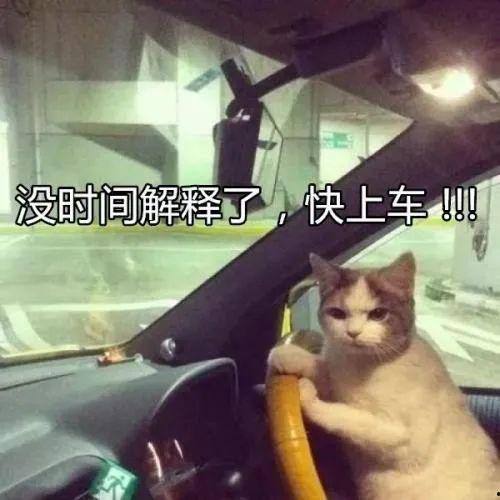 带你吃瓜野生老司机视频,带你领略“带你吃瓜野生老司机”视频的独特魅力
