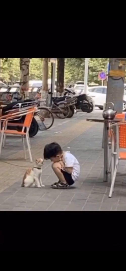 马哥吃瓜现场图片视频,趣味横生的瞬间捕捉