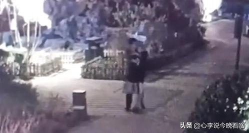 首发打野吃瓜视频在哪看