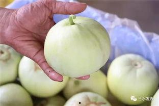 甜心三水吃瓜视频,揭秘娱乐圈幕后真相