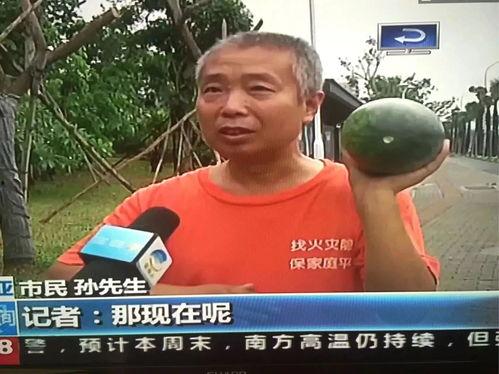 莱芜吃瓜群众事件真相视频,真相视频曝光背后的故事