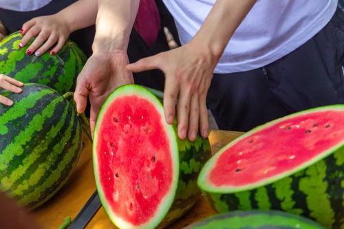 大学吃瓜城视频,揭秘校园生活那些事儿