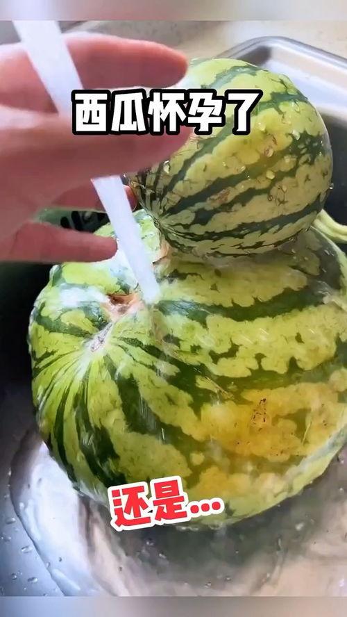 广东吃瓜搞笑视频大全下载,让你笑到肚子疼