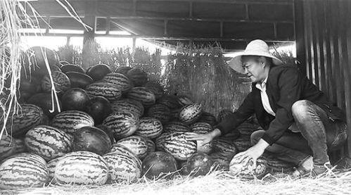 潮州吃瓜群众事件视频,一场网络舆论的风波与反思