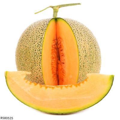 豆柴可以吃哈密瓜吗视频,宠物饮食安全揭秘